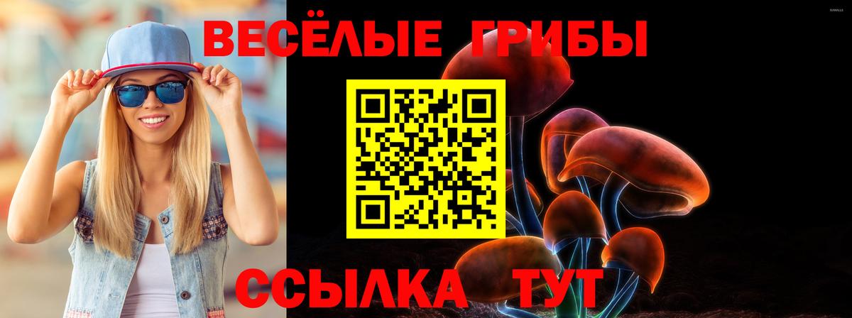 Галлюциногенные грибы Magic Shrooms Петрозаводск